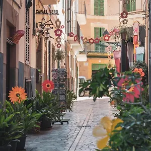 Ca's Cuscanti , Sóller Spanien